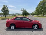 Used 2010 Toyota Corolla S image 6
