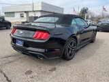 Certified 2022 Ford Mustang Premium image 5