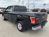 Used 2015 Ford F150 XLT image 6