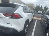 Used 2019 Toyota RAV4 XLE Premium image 2