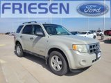 Used 2008 Ford Escape XLT image 3