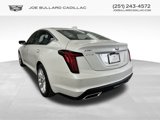 New 2025 Cadillac CT5 Premium Luxury image 4