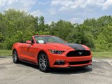 Certified 2016 Ford Mustang Premium image 3