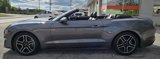 Used 2022 Ford Mustang Premium image 6