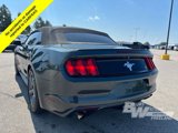 Used 2015 Ford Mustang Convertible w/ Equipment Group 051A image 4