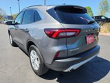 Used 2024 Ford Escape Active w/ Tech Pack #1 image 3
