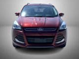 Used 2016 Ford Escape Titanium image 2