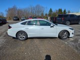 Used 2021 Hyundai Sonata SE image 2