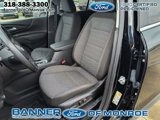 Used 2022 Chevrolet Equinox LT image 2