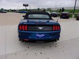 Used 2022 Ford Mustang Premium image 4