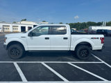 Used 2019 Ford F150 4x4 SuperCrew image 2