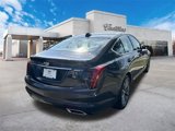 New 2024 Cadillac CT5 Premium Luxury w/ Parking Package image 3