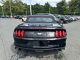 Used 2015 Ford Mustang Premium image 4