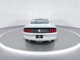Used 2016 Ford Mustang Coupe w/ Equipment Group 051A image 3