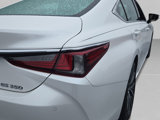 Certified 2024 Lexus ES 350 w/ Premium Package image 5