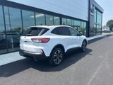 Used 2022 Ford Escape SE w/ SE Sport Appearance Package image 3