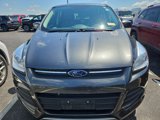 Used 2016 Ford Escape SE w/ SE Cold Weather Package image 2