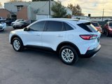 Used 2020 Ford Escape SE image 4