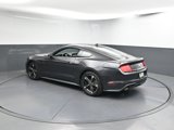 Used 2023 Ford Mustang Coupe w/ Equipment Group 101A image 3