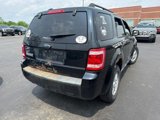 Used 2010 Ford Escape XLT image 5