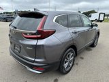 Certified 2022 Honda CR-V EX-L image 6