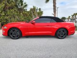 Used 2018 Ford Mustang Premium w/ Equipment Group 201A image 5