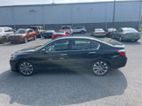 Used 2013 Honda Accord Sport image 2