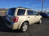 Used 2012 Ford Escape XLT image 4