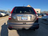 Used 2010 Honda CR-V EX-L image 4