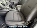 Used 2023 Ford Escape AWD image 4