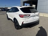 Used 2022 Ford Escape SE w/ SE Sport Appearance Package image 3