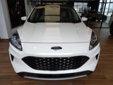 Used 2020 Ford Escape SE image 2