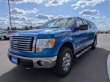Used 2010 Ford F150 XLT image 6
