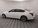 Certified 2024 Cadillac CT5 Premium Luxury w/ Parking Package image 4