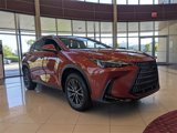 Certified 2023 Lexus NX 350 AWD image 2