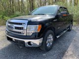 Used 2013 Ford F150 XLT w/ Luxury Equipment Group image 3