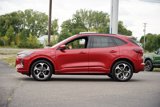 Used 2023 Ford Escape ST-Line Elite image 6