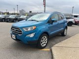 Used 2018 Ford EcoSport SE image 4