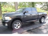 Used 2009 Dodge Ram 1500 Truck Sport image 2