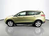 Used 2014 Ford Escape SE image 4