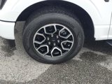 Certified 2023 Ford F150 XL w/ STX Appearance Package image 3