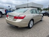 Used 2015 Honda Accord EX-L image 4