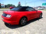 Used 2017 Ford Mustang Premium image 5