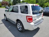 Used 2010 Ford Escape Limited image 3