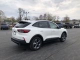 New 2025 Ford Escape ST-Line w/ Tech Pack #1 image 5