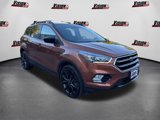 Used 2017 Ford Escape SE w/ Equipment Group 201A image 3
