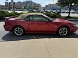 Used 2004 Ford Mustang GT image 5