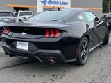 New 2025 Ford Mustang Coupe image 5