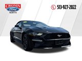 Used 2022 Ford Mustang Premium image 5