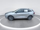 Used 2024 Ford Escape ST-Line image 4